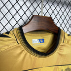 2024-25 Real Sociedad Especial Fan Version