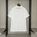 2024-25 Fiorentina Away