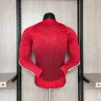 Camiseta de manga larga del Manchester United 2024-25