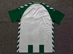 2026-27 Werder Bremen Home Fan Version