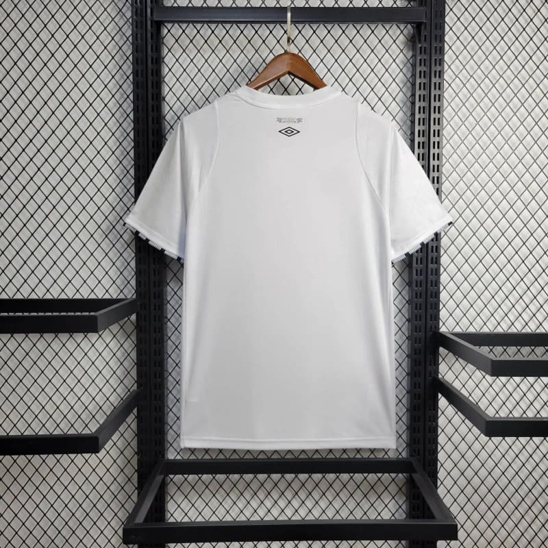 2024-25 Santos Home