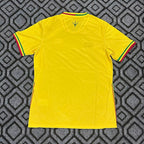 2026-27 Mali Away Fan Version