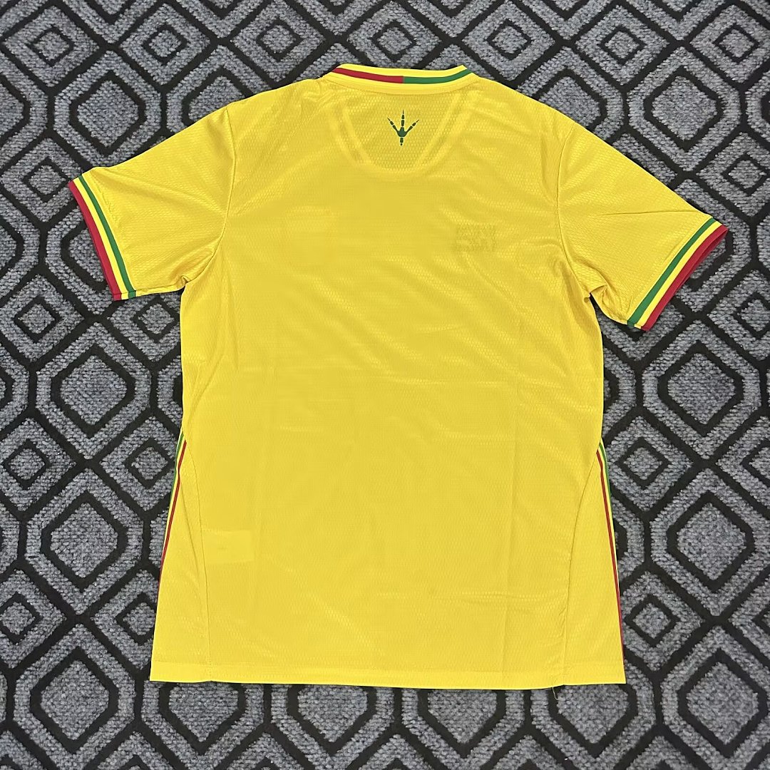 2026-27 Mali Away Fan Version