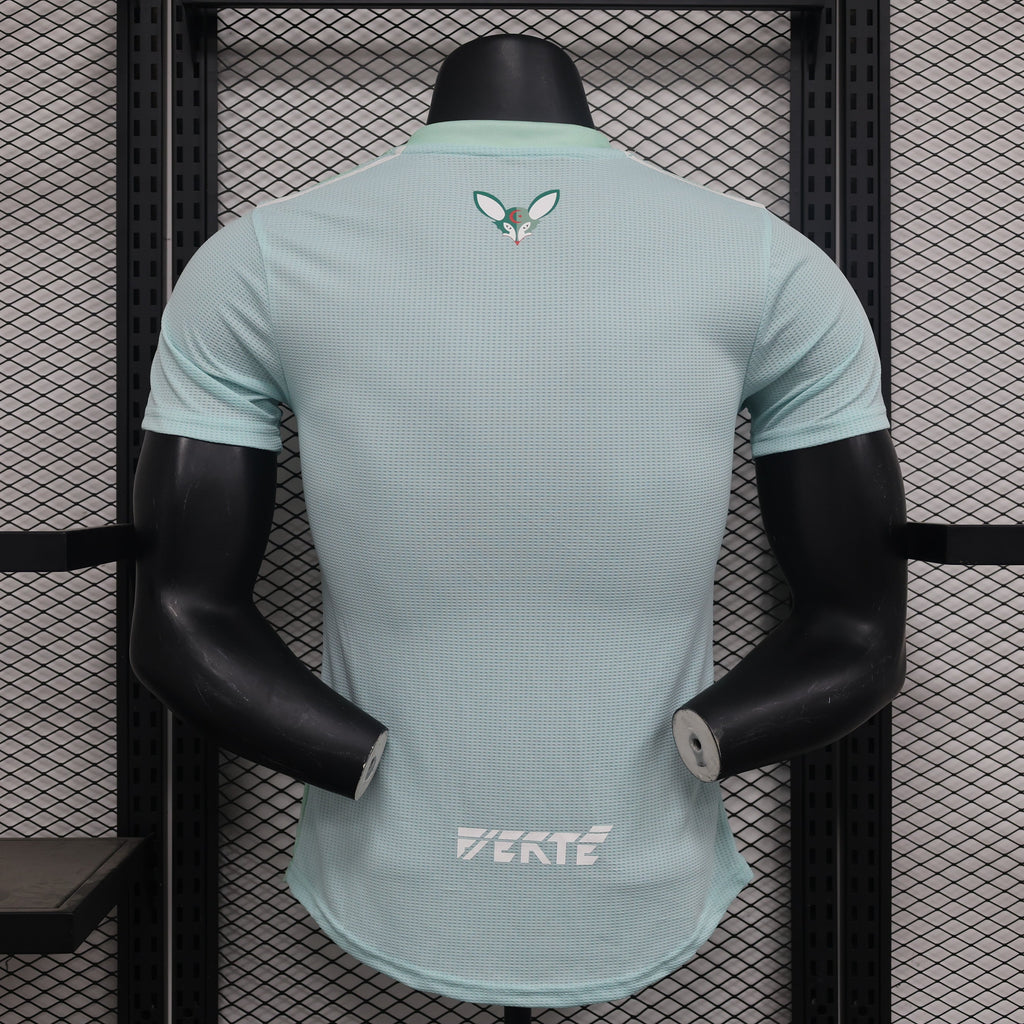 2024-25 Algeria light Green Player