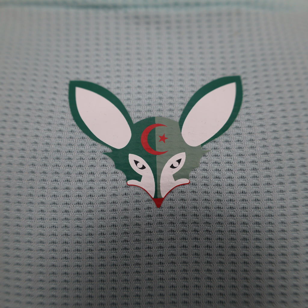 2024-25 Algeria light Green Player
