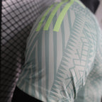 2024-25 Mexico Away Player Version