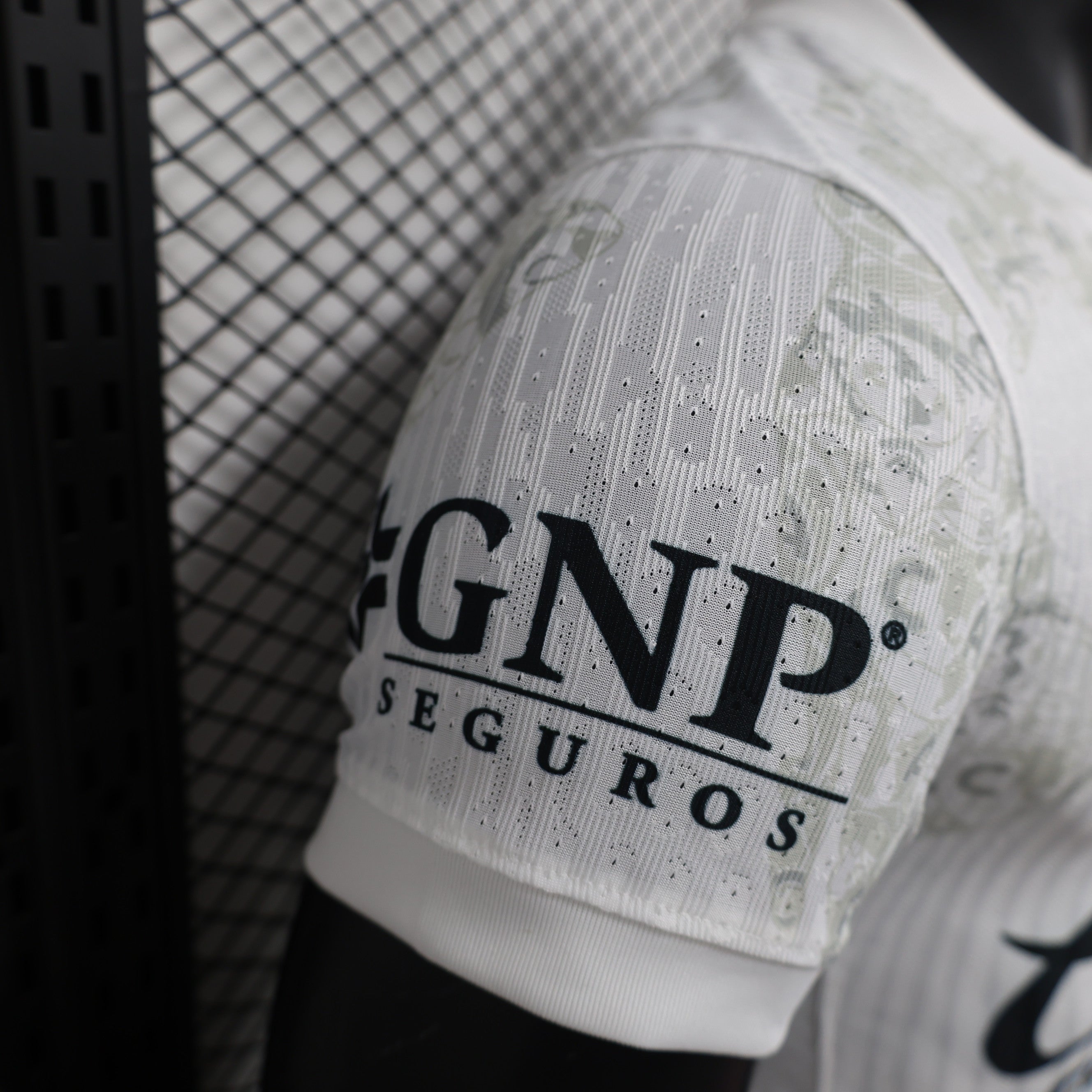 2024-25 Americas White Player