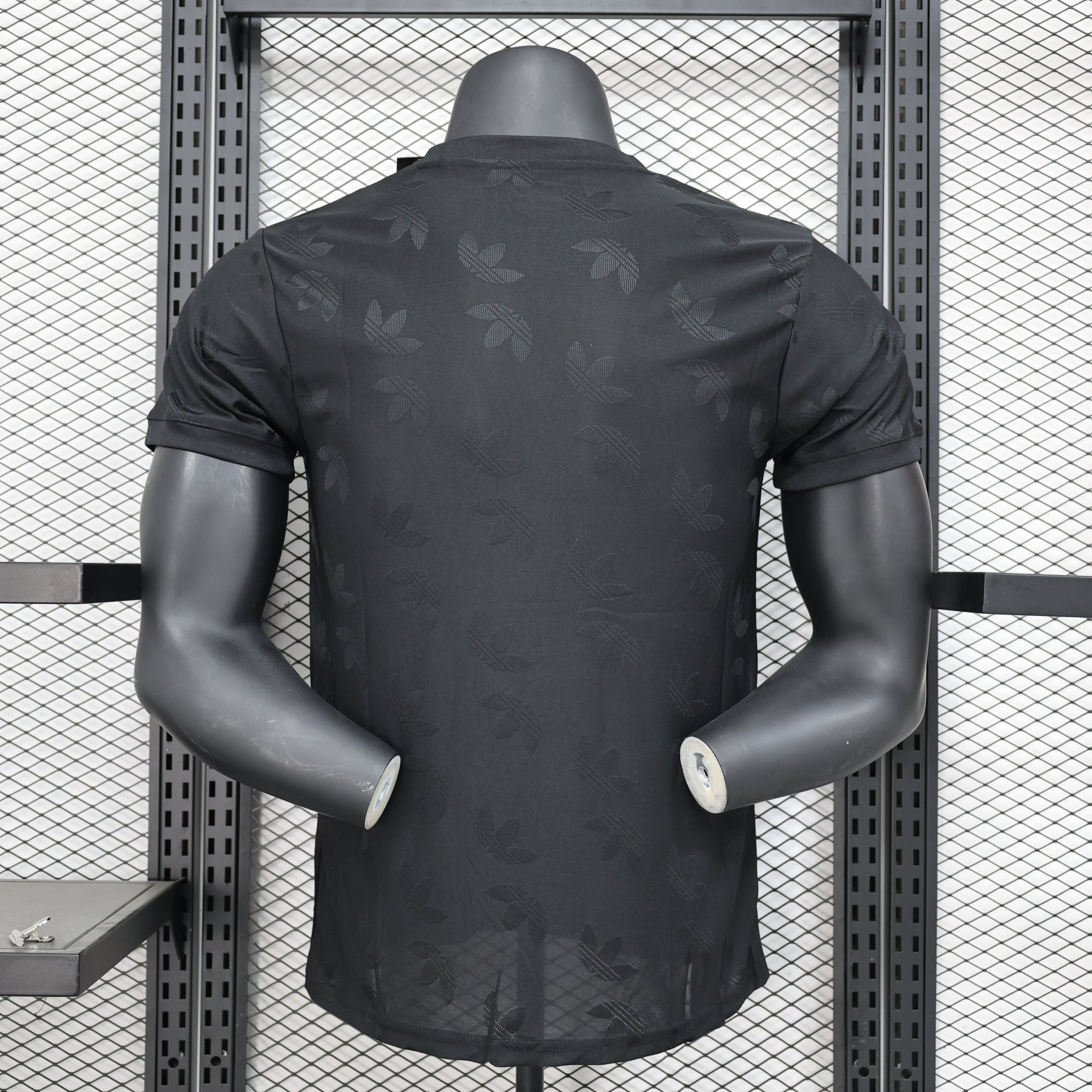 2024-25 Arsenal Special Player