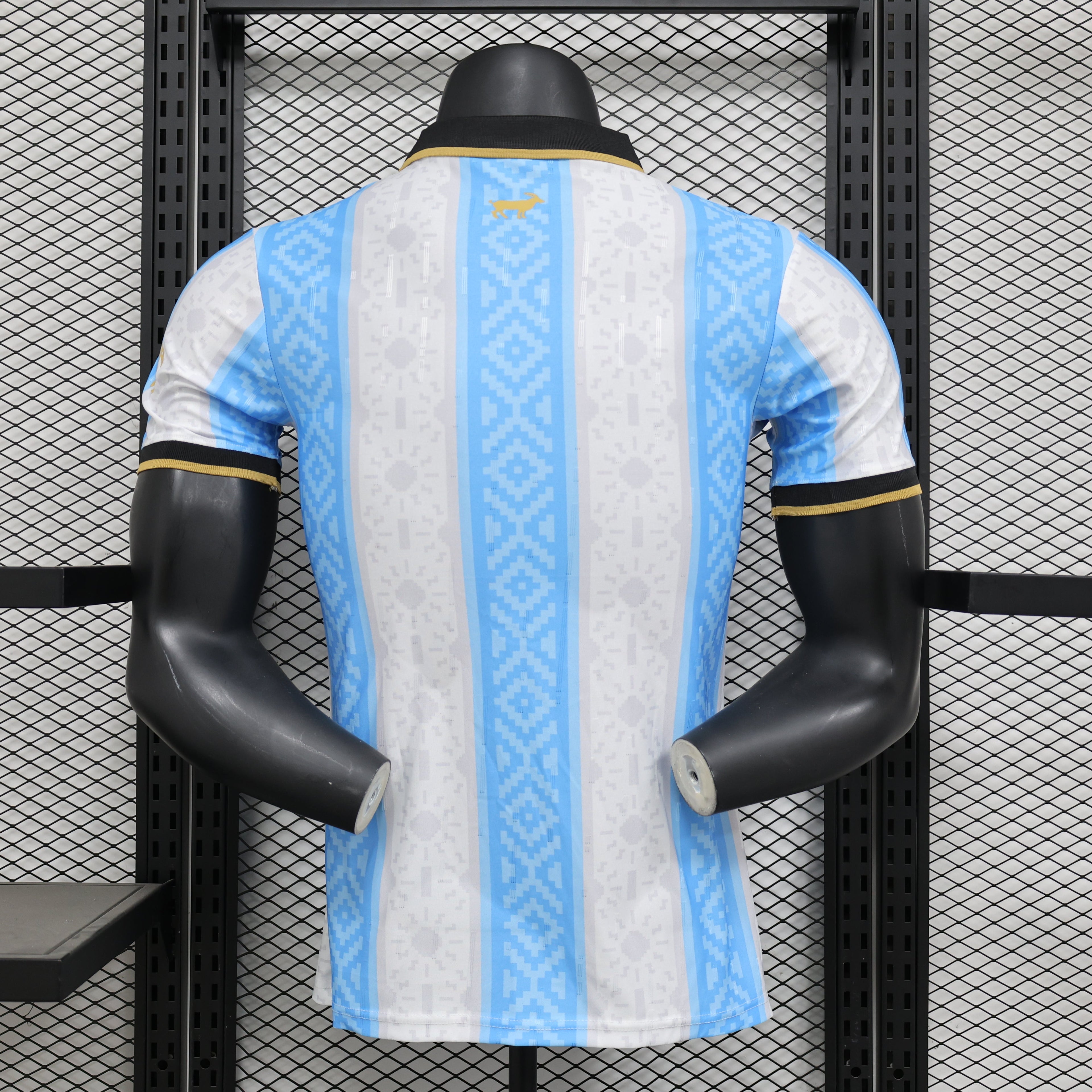 2025-26 Argentina Special Player Version