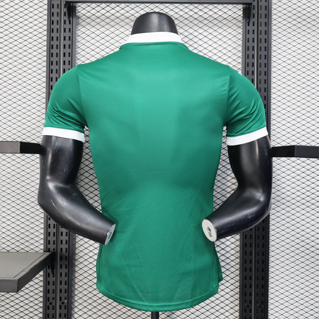 Versión del jugador local del Palmeiras 2025-26