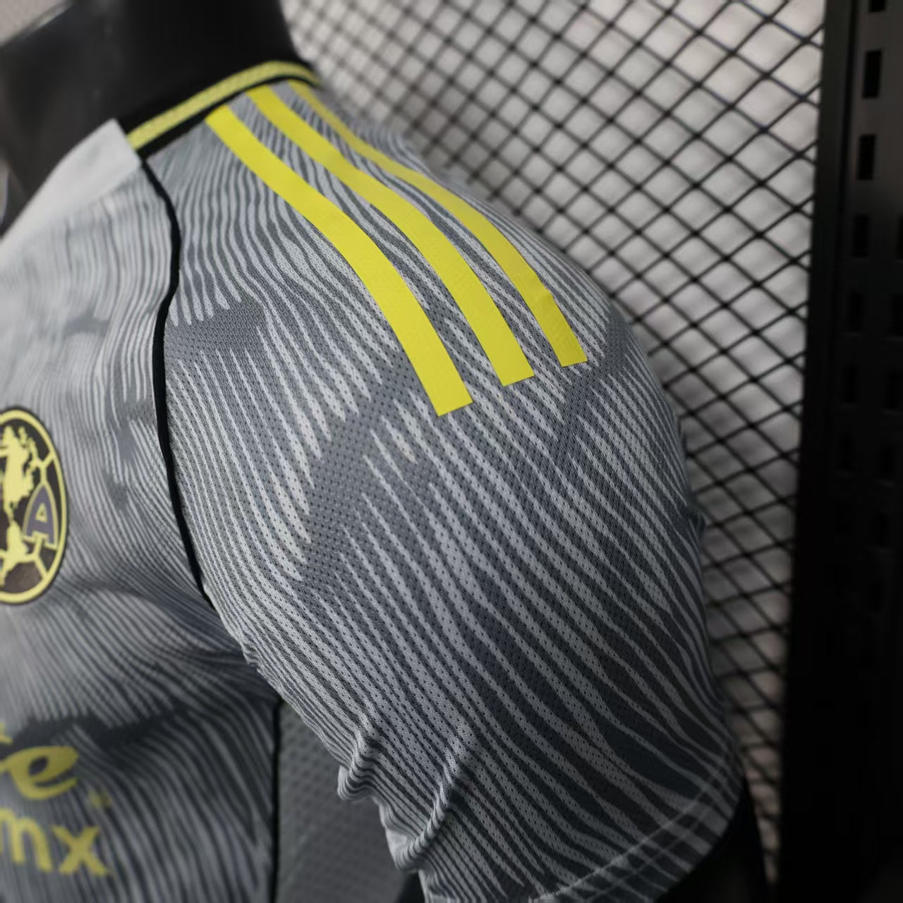 2025-26 Americas Special Player