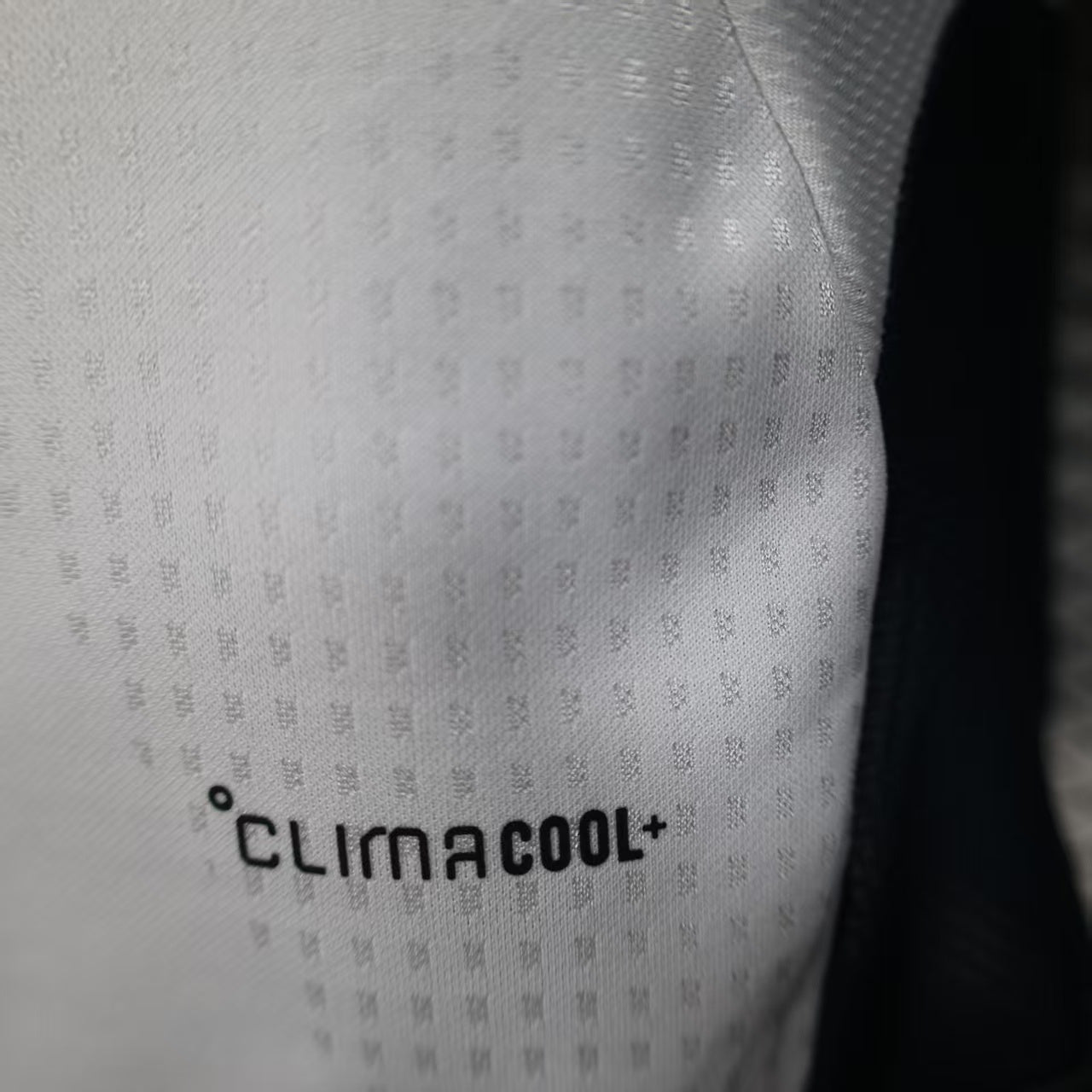 2026 Argentina Special Player Version