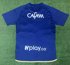 Hoffenheim 2024-25