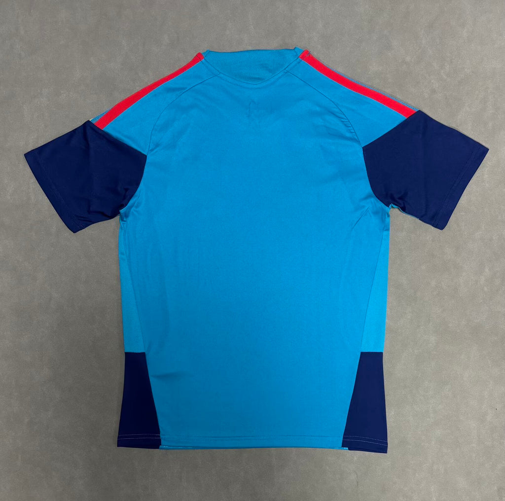 2026 Spain Blue Special Fan Version